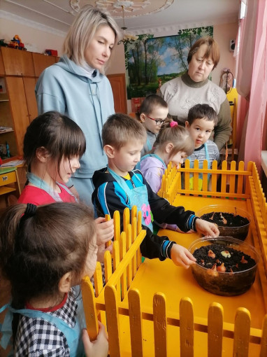 ЛУК НА ПОДОКОННИКЕ ЛУК НА ПОДОКОННИКЕ.